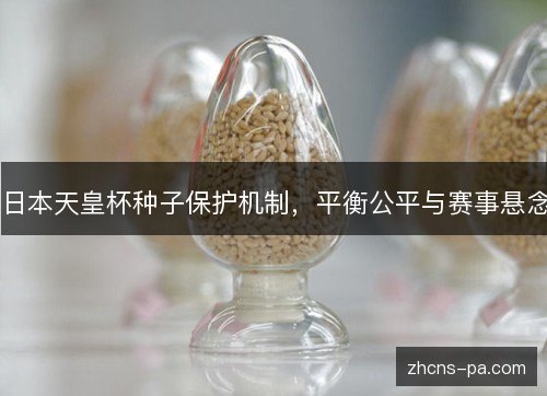 日本天皇杯种子保护机制，平衡公平与赛事悬念